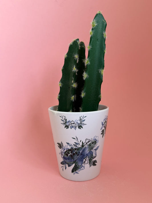 Seconds sale Sea Turtle Plant Pot