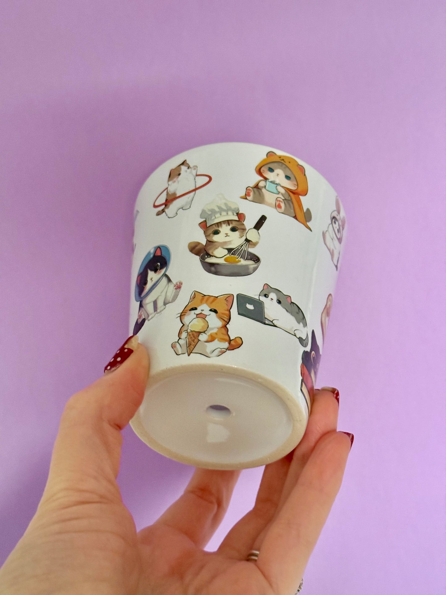 Silly Cats Plant Pot