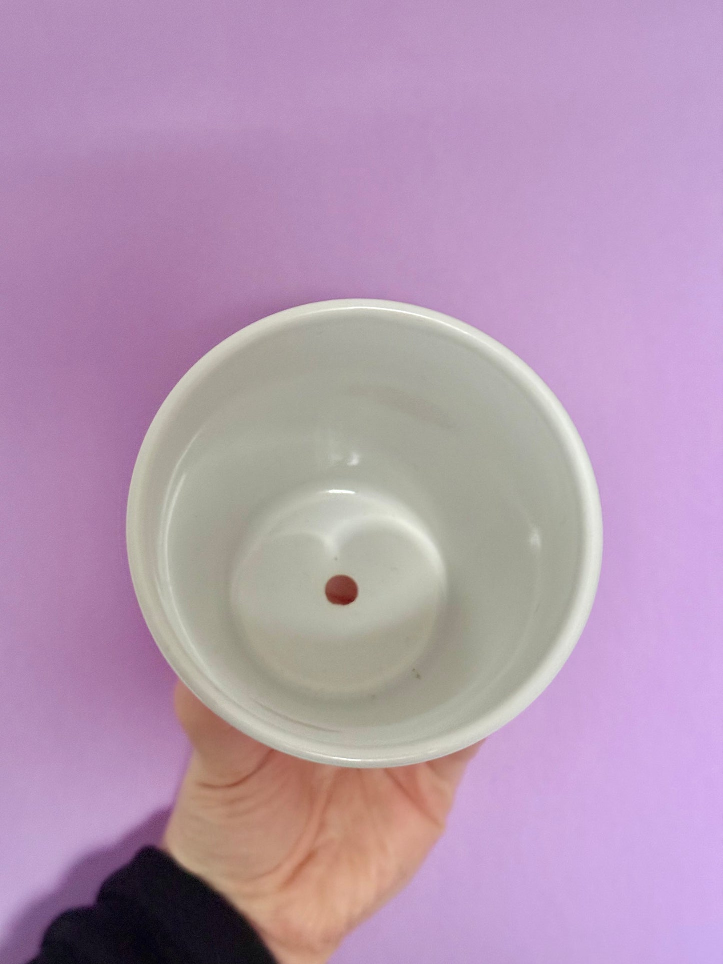 Silly Cats Plant Pot