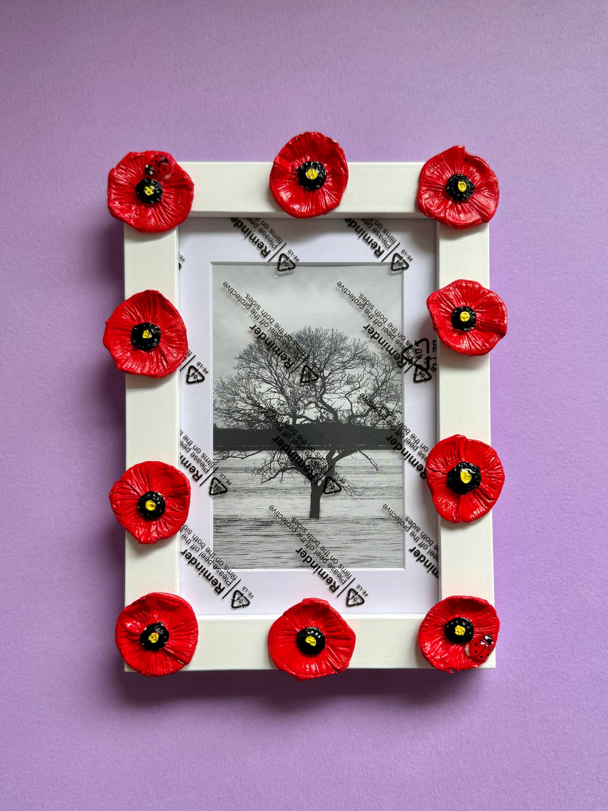 Poppy Flower Photo Frame 6x4