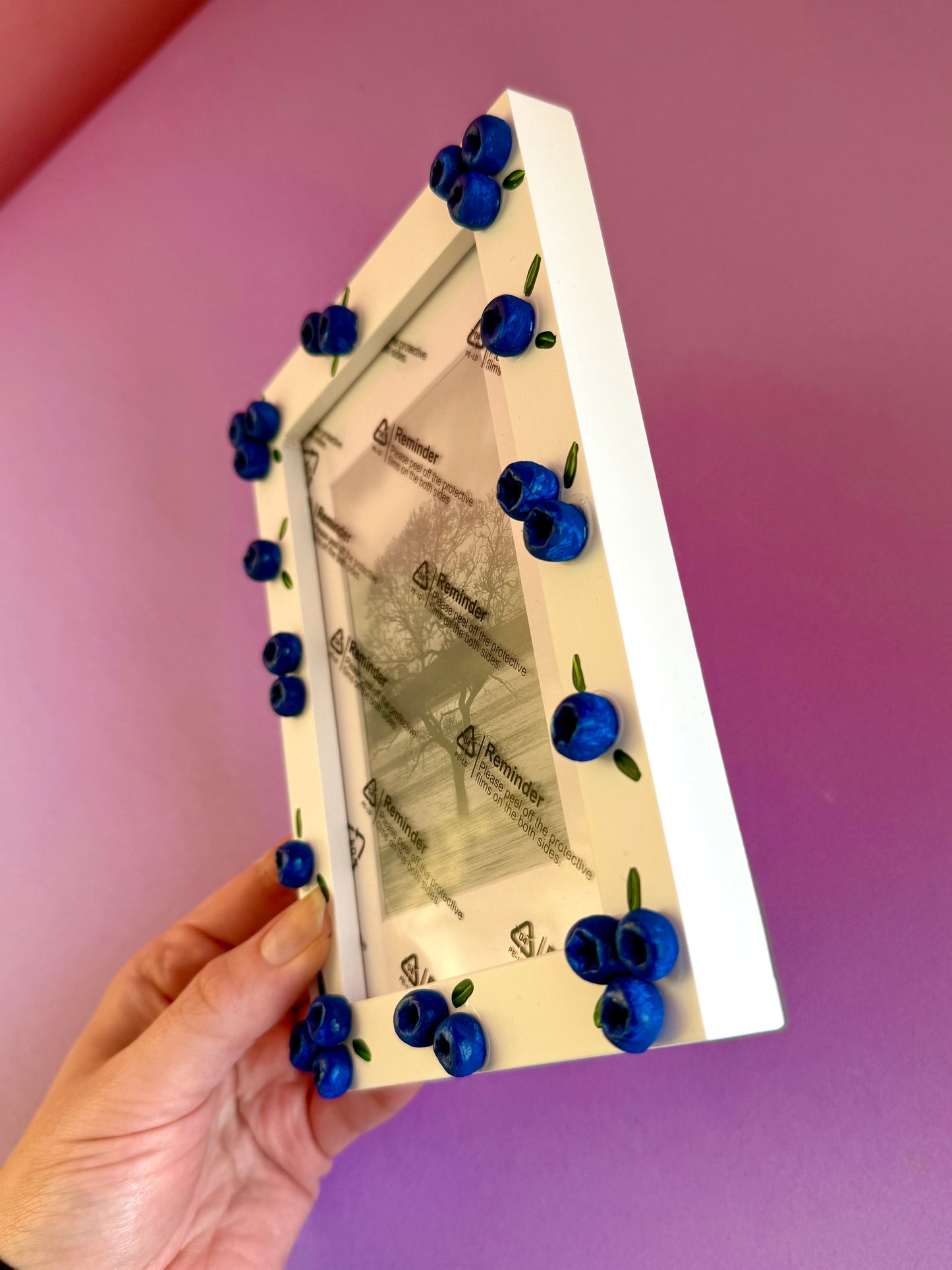 Blueberry Photo Frame A6