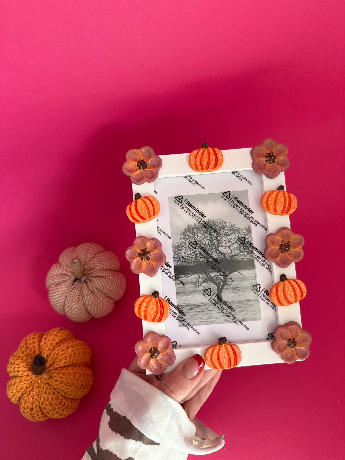 Floral Pumpkins Photo Frame