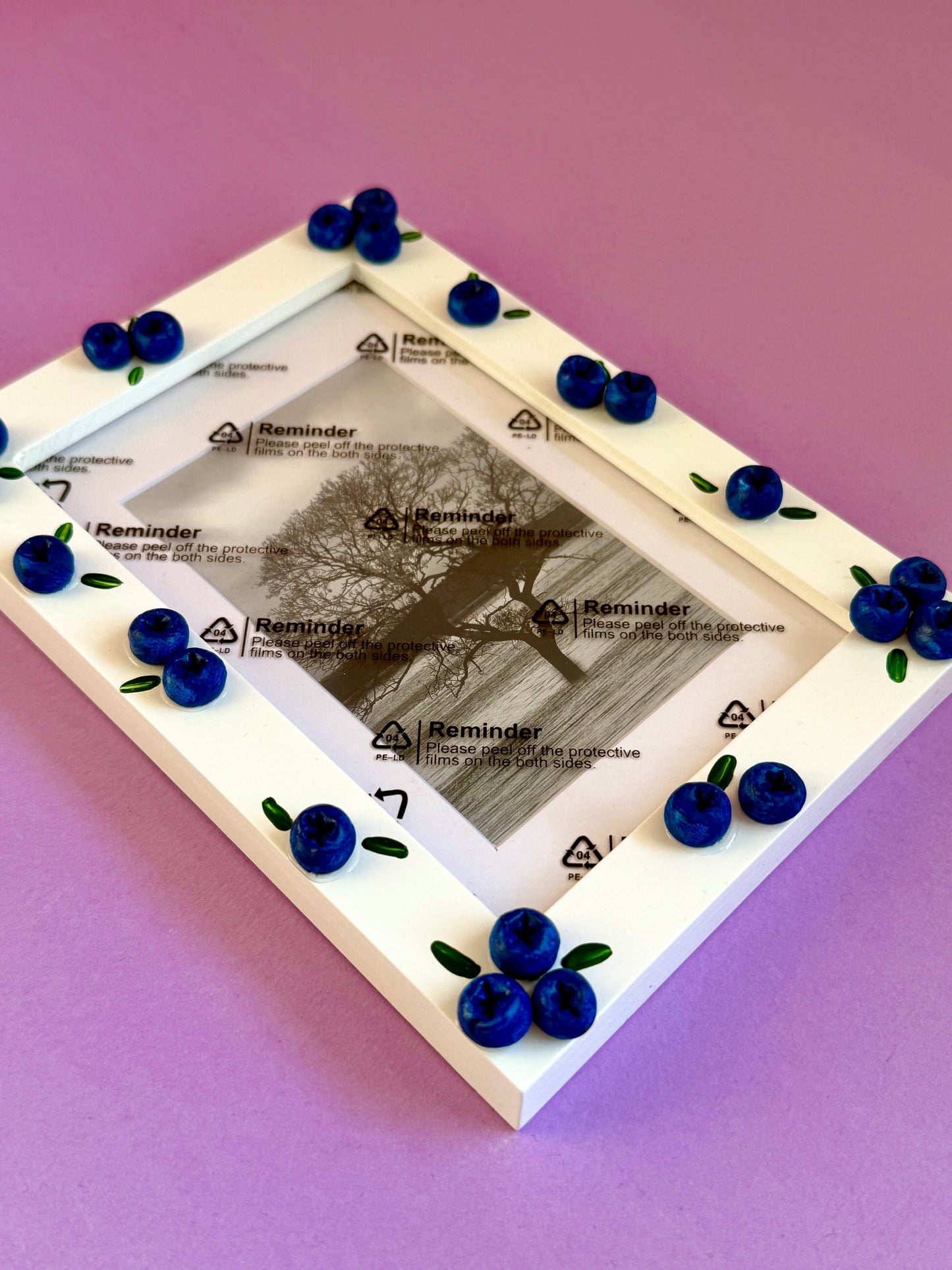 Blueberry Photo Frame A6