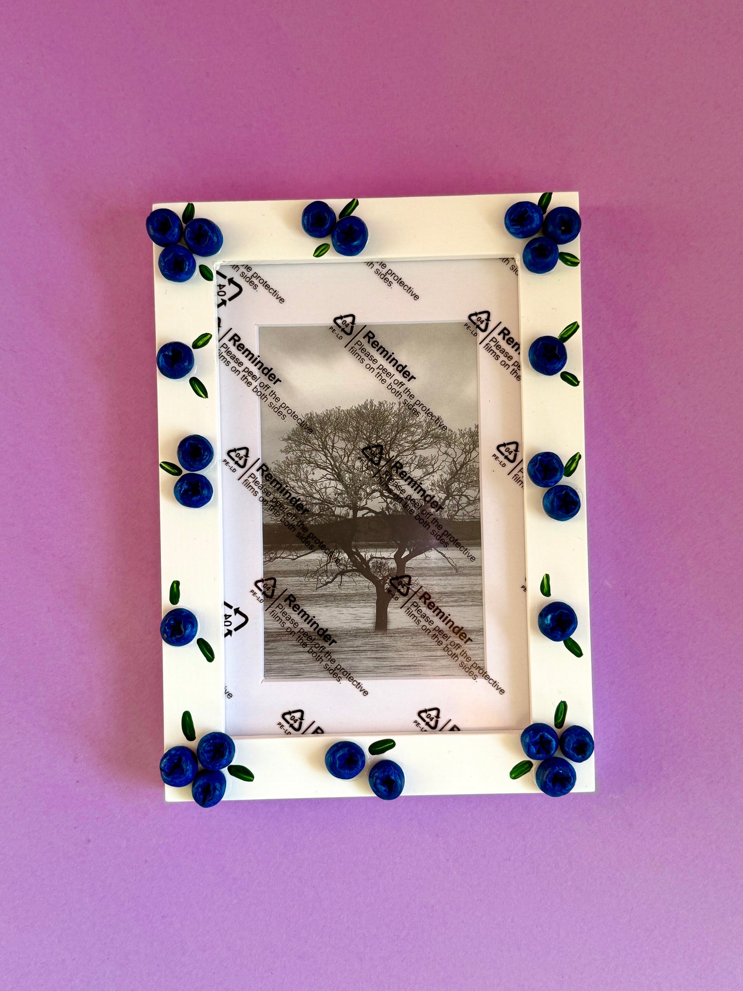 Blueberry Photo Frame A6