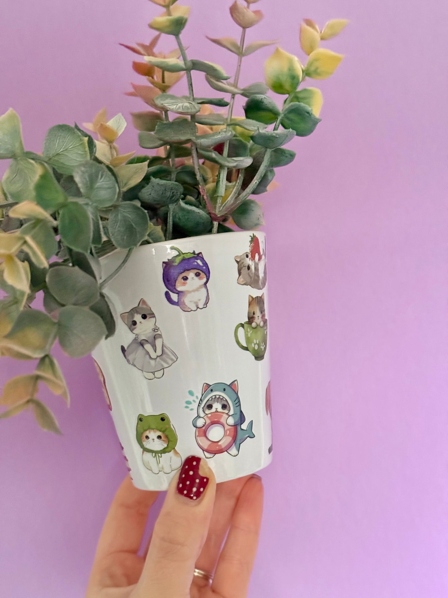 Silly Cats Plant Pot