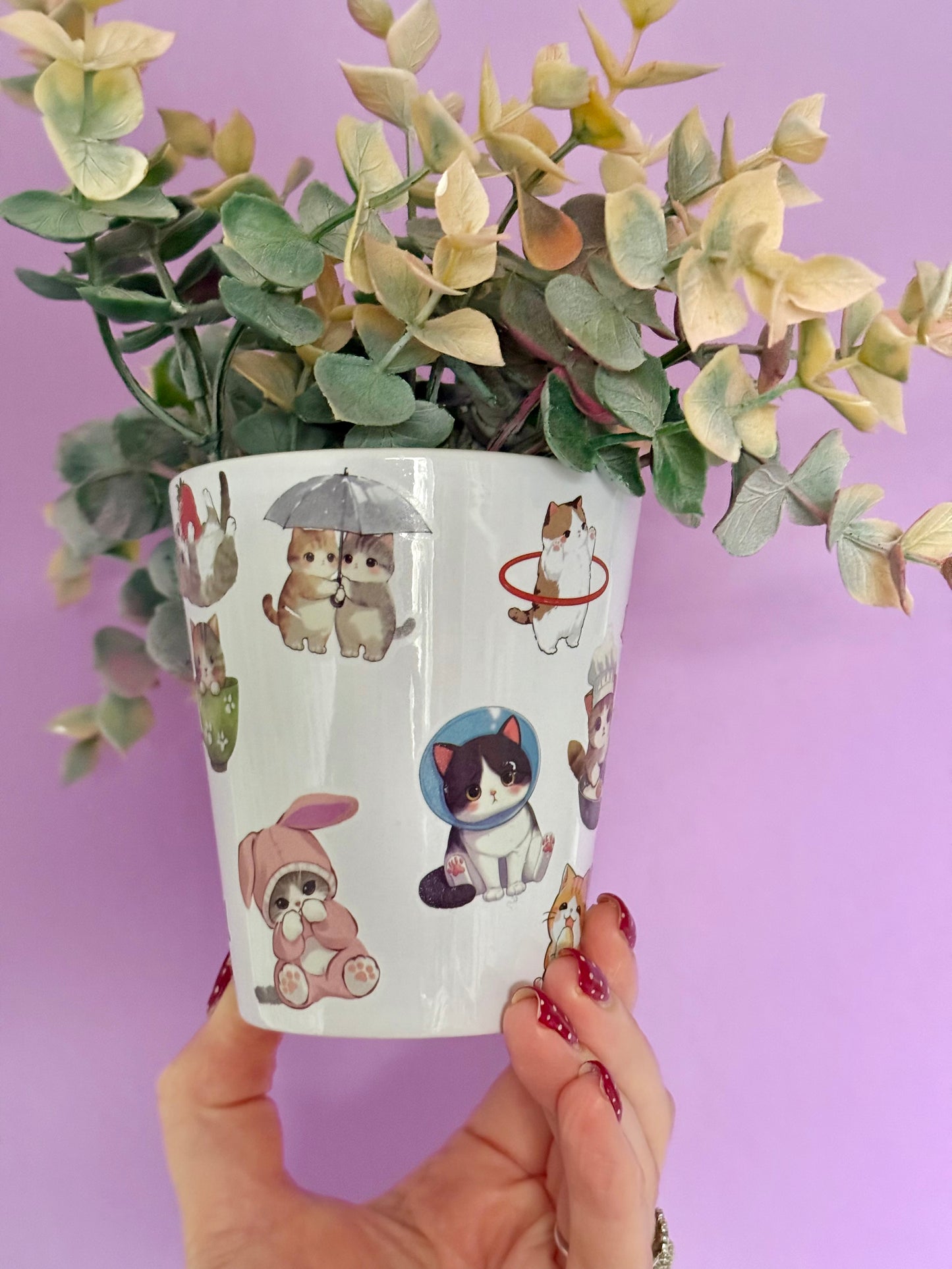 Silly Cats Plant Pot