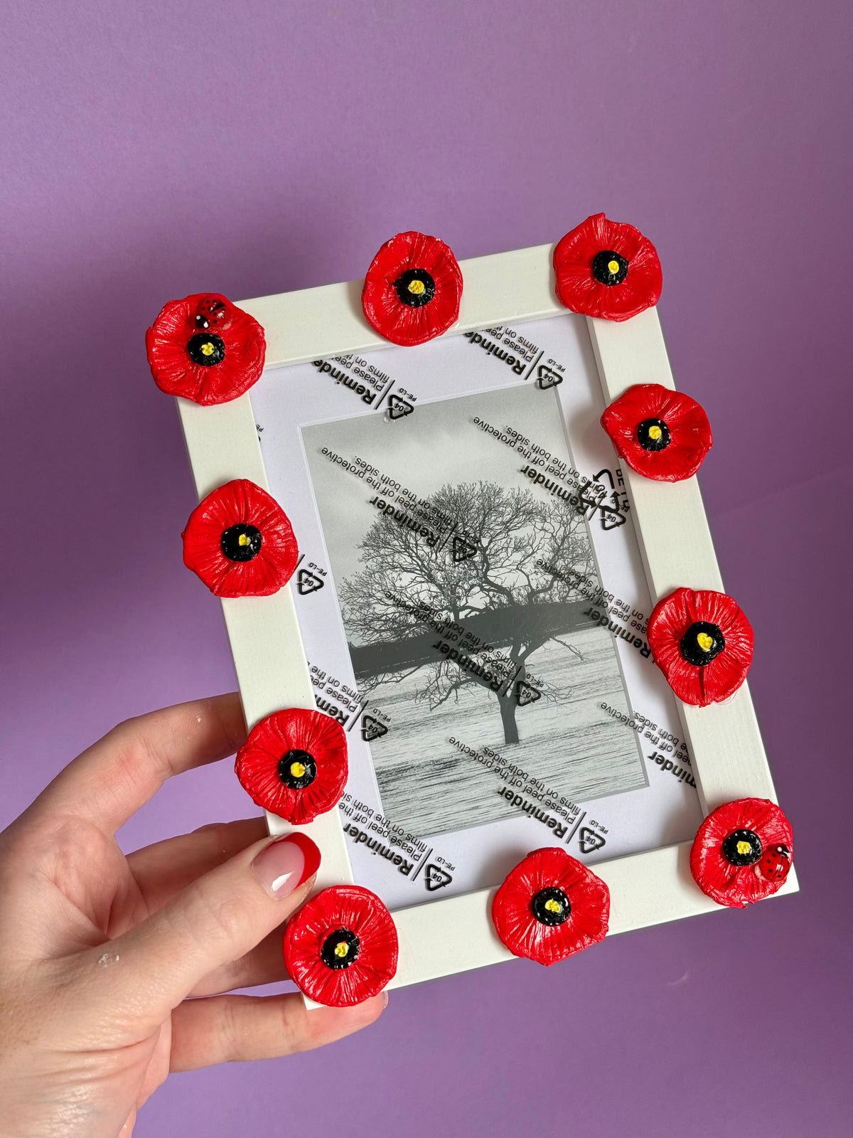 Poppy Flower Photo Frame 6x4