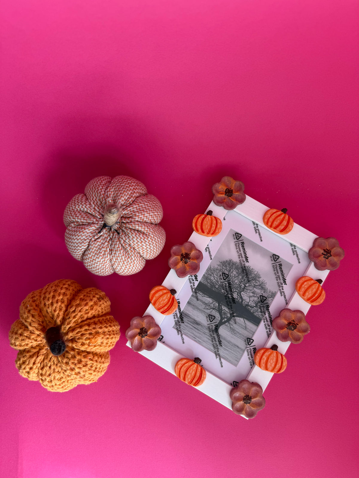 Floral Pumpkins Photo Frame