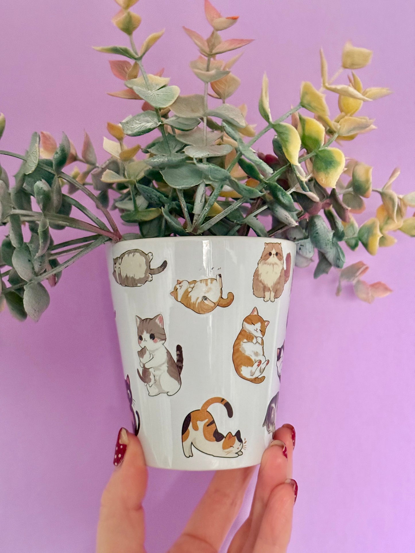Cute Cats Plant Pot