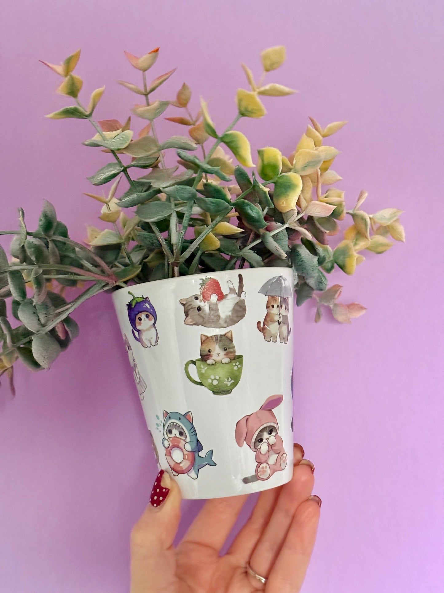 Silly Cats Plant Pot