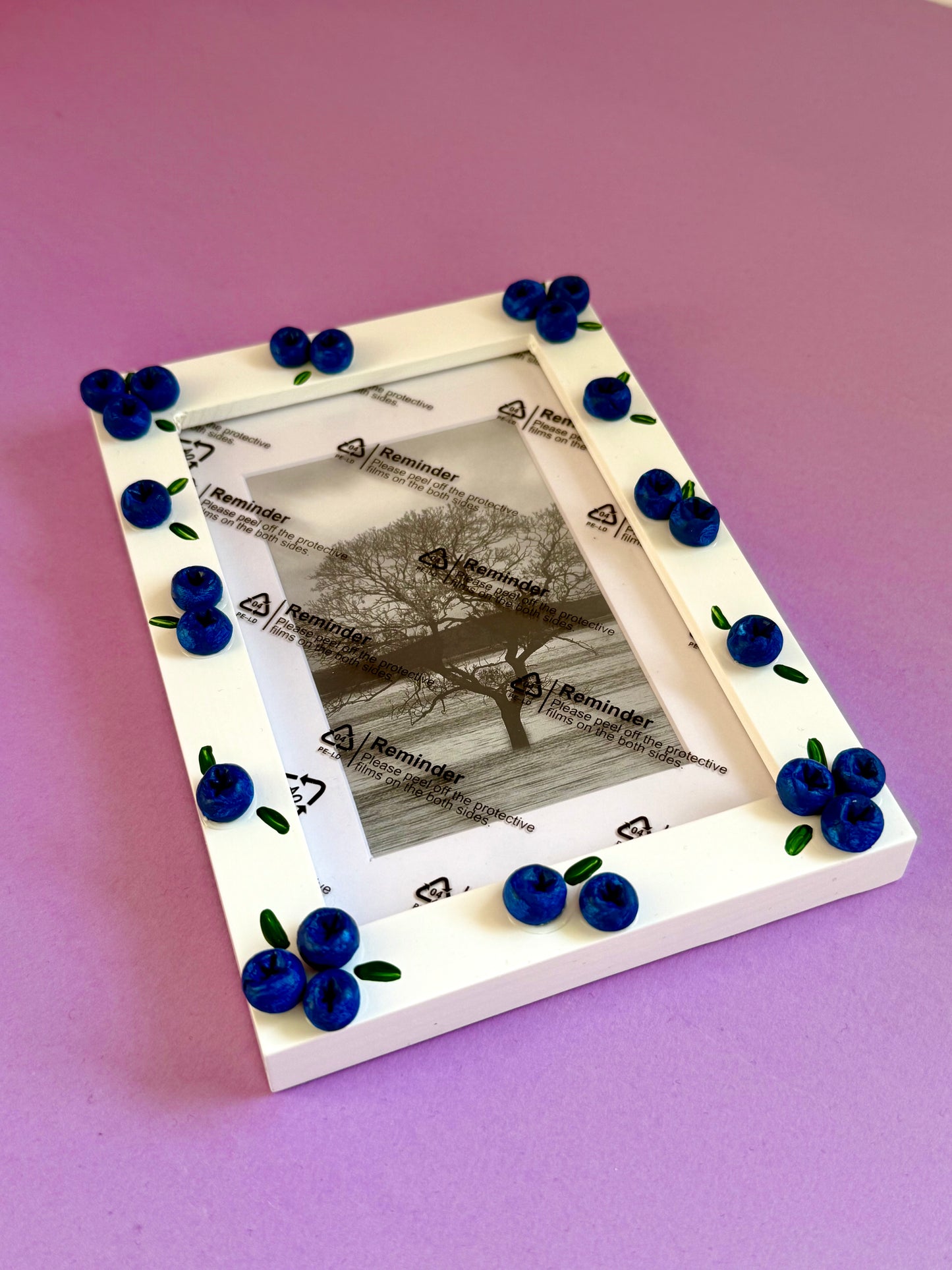 Blueberry Photo Frame A6