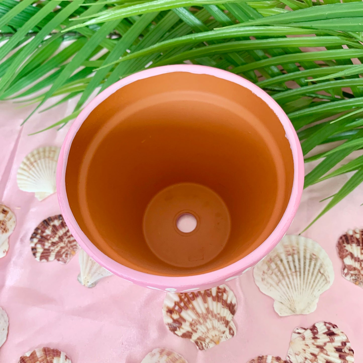 Hand Painted Pink Rainbow Shell Plant Pot