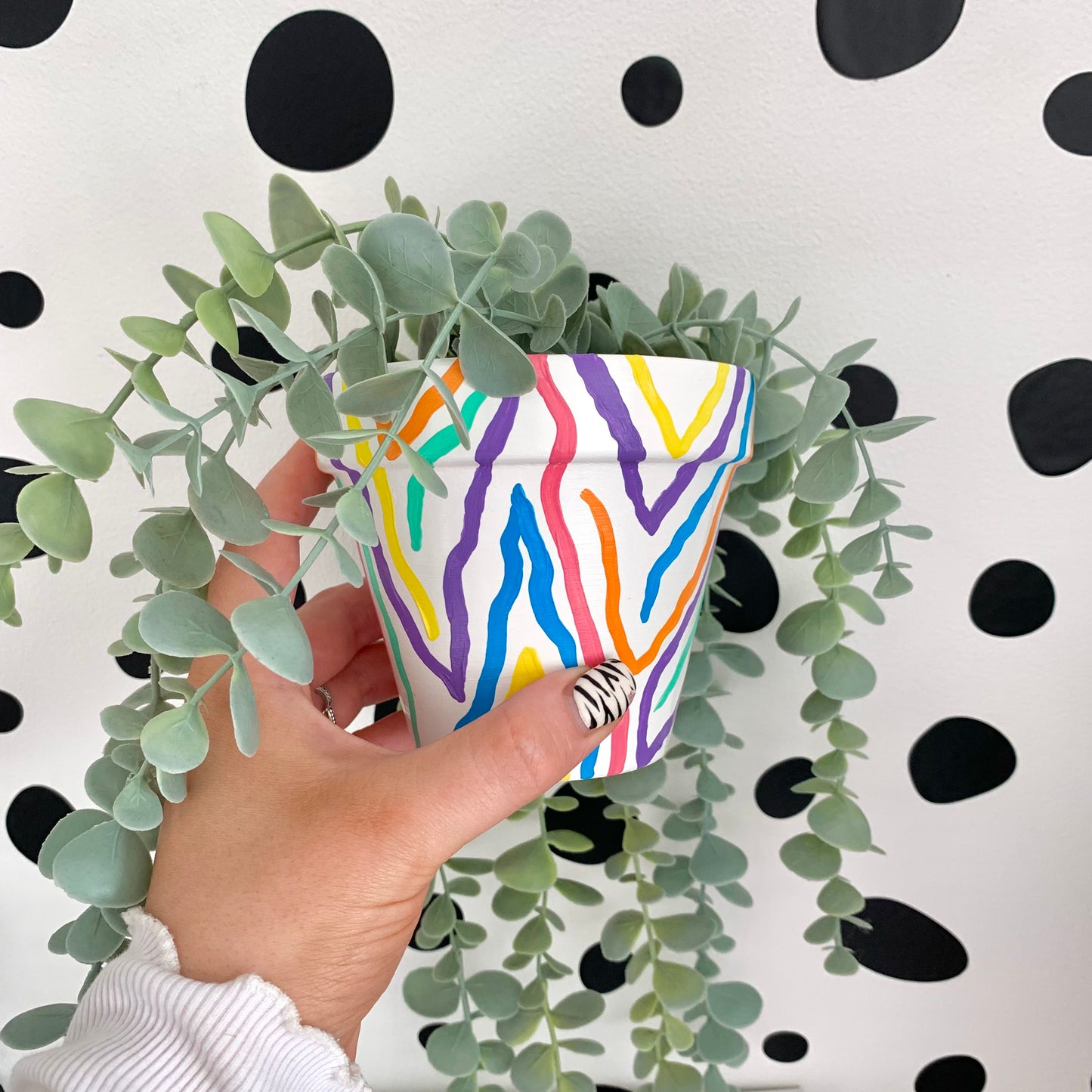 Hand Painted Rainbow Zebra Print Plant Pot