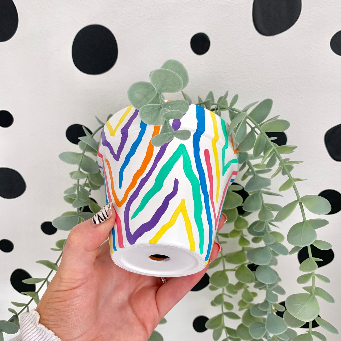 Hand Painted Rainbow Zebra Print Plant Pot