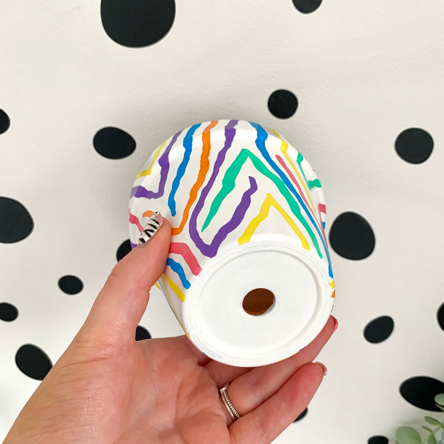 Hand Painted Rainbow Zebra Print Plant Pot