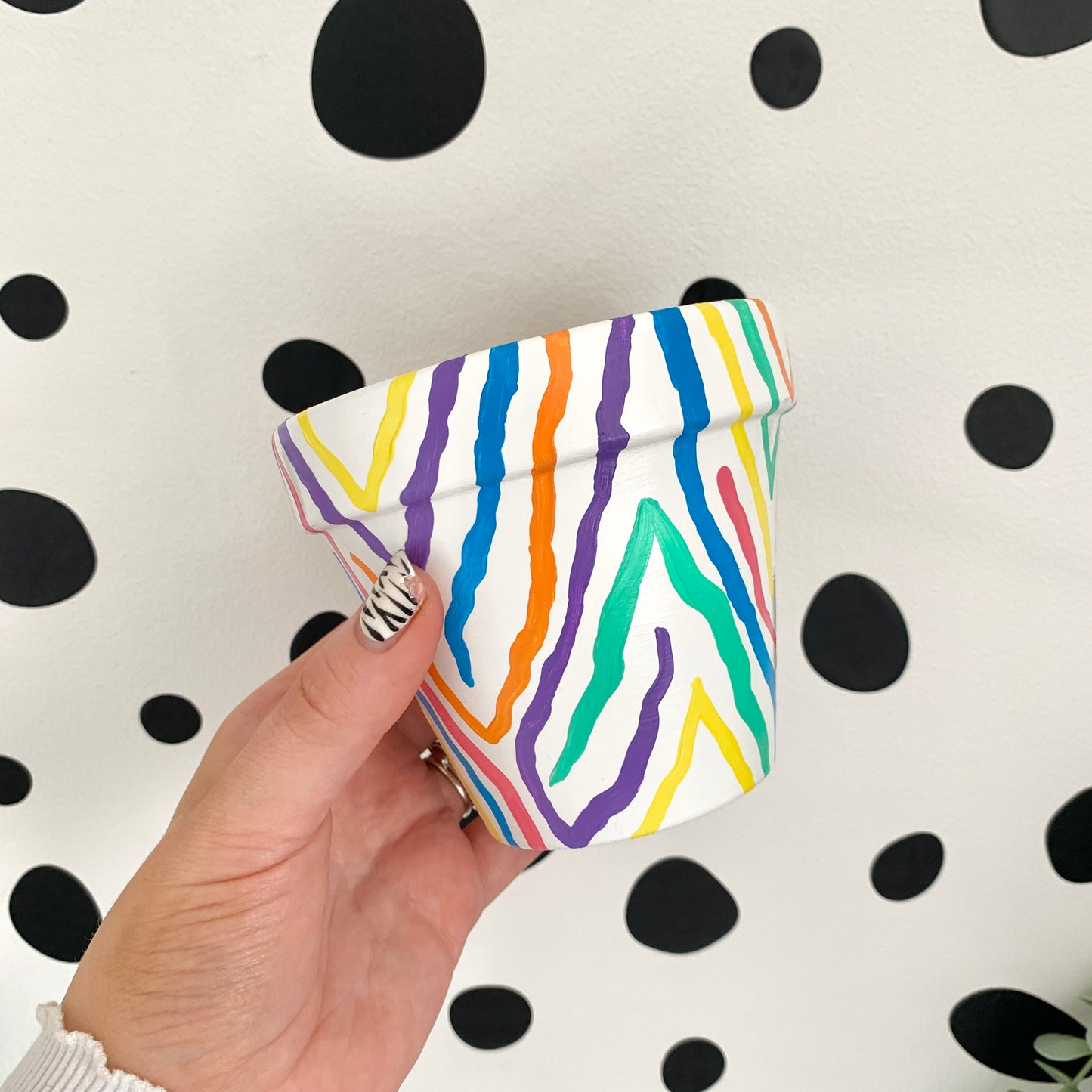 Hand Painted Rainbow Zebra Print Plant Pot